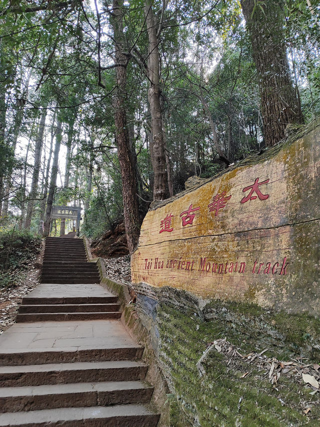 Kunming: A Captivating City of Natural Wonders