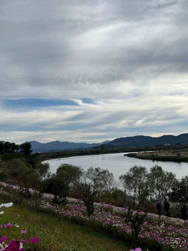🌿 경남 함안 1박 2일 여행 코스 🏞️