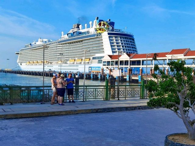 My Royal Caribbean Onboarding Experience