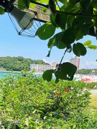 新鮮な海の幸を堪能！甚力で至福の海鮮料理🍣✨