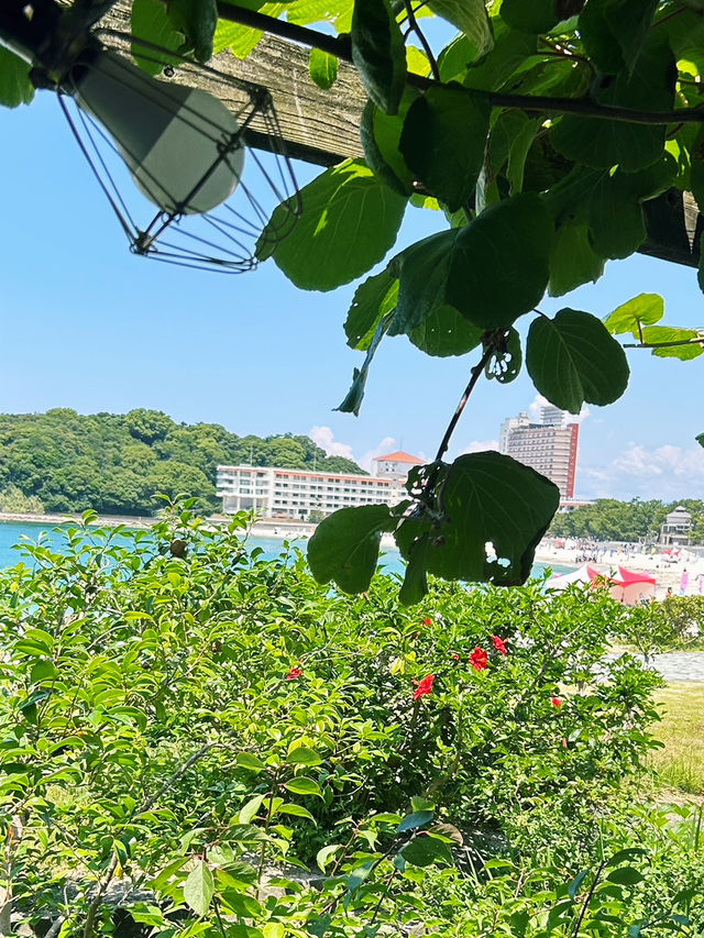 新鮮な海の幸を堪能！甚力で至福の海鮮料理🍣✨
