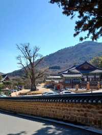 고즈넉한 산사 길, 걷기 좋은 사찰🌿🚶‍♂️