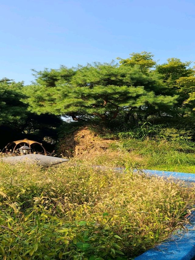 용인 민속촌과 귀굴