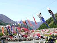 【長野県】日本一の花桃の里の桃源郷・阿智村