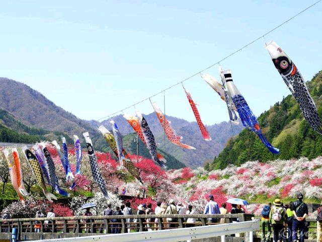 【長野県】日本一の花桃の里の桃源郷・阿智村