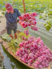 Explore Vietnamese Cultural & Hidden Gem’s