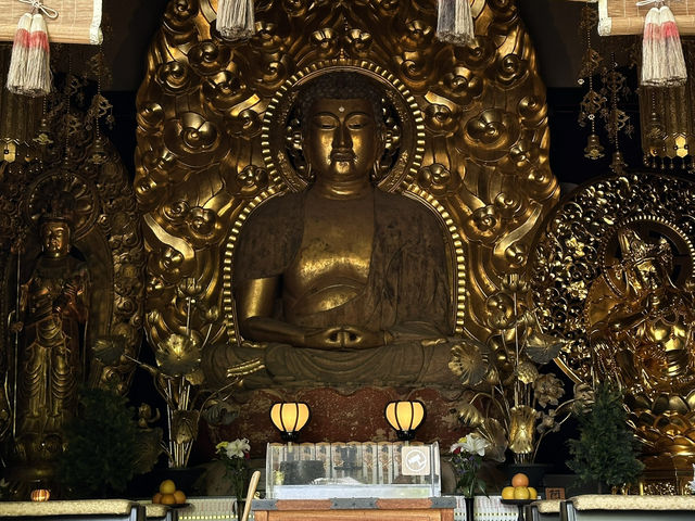 Serene Serene Beauty with a Stunning View: Kamakura’s Hasedera Temple