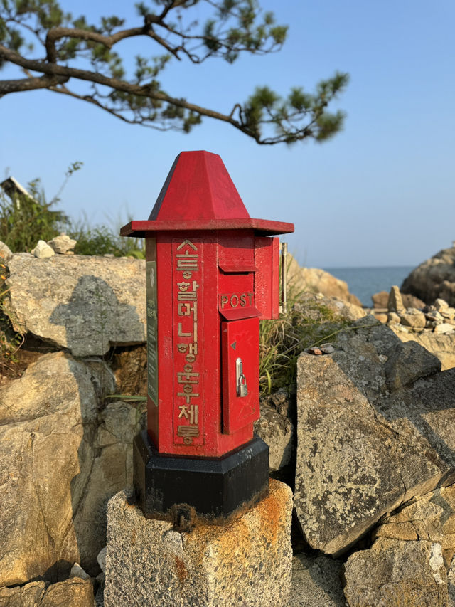 대한민국의 무인도⁉️