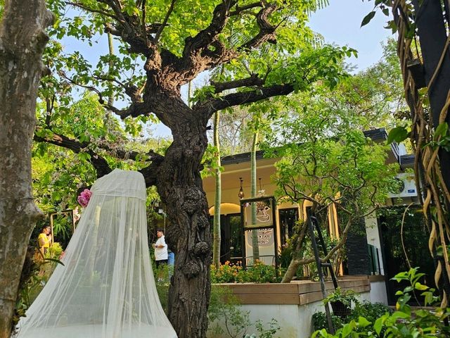 เพลินธาร | VILLA | CAFE | CAMPING
