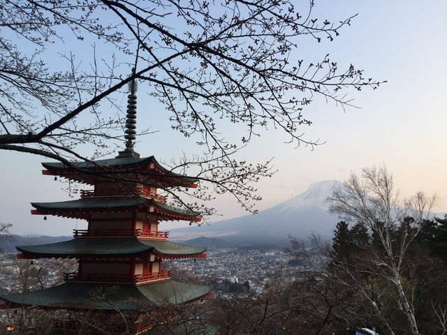 Chureito Pagoda จุดชมซากุระสุดปัง พร้อมวิวฟูจิ