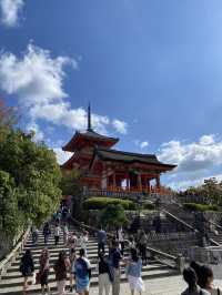  大阪京都：清水寺 | 嵐山 