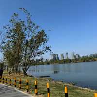 🌳 翠湖文體公園 🚴‍♀️ 隱秘天堂 🚴‍♀️  