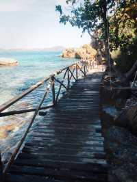 อุทยานใต้ทะเลเกาะขาม สัตหีบ ชลบุรี