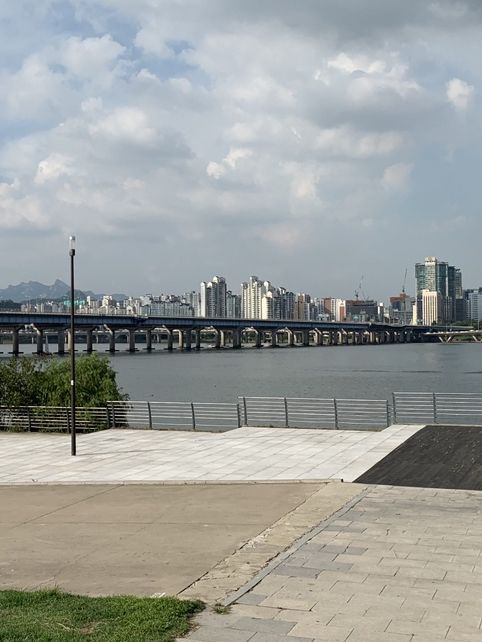 汝矣島漢江公園：城市綠洲的溫暖時光🌳 ✨