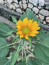 “Blooming Spring Escape at Taman Botani”
