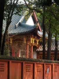 Trip to Qingbaijiang, China 🇨🇳