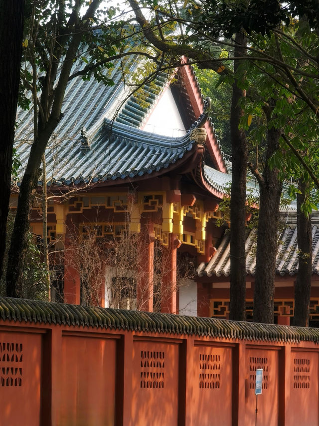 Trip to Qingbaijiang, China 🇨🇳
