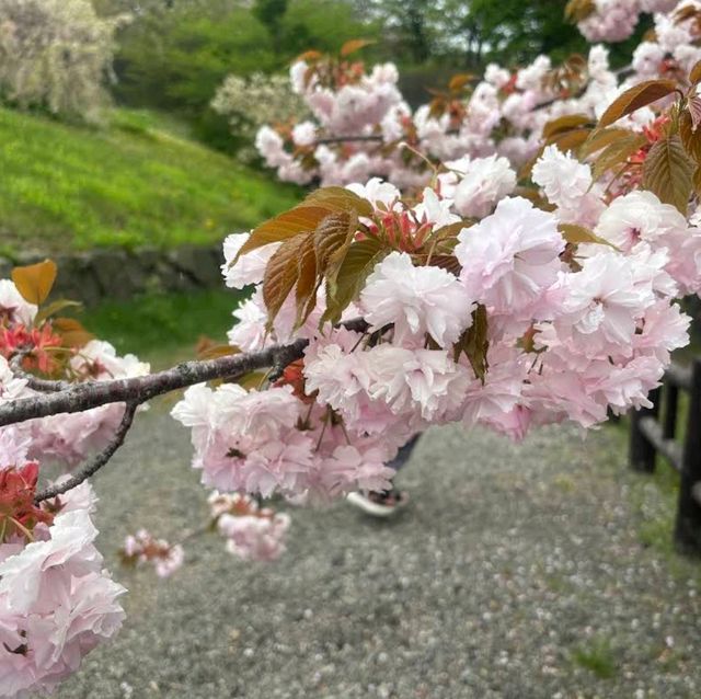 Matsumae Park, Hokkaido