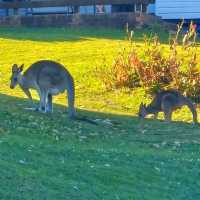 Stradbroke Island: A Peaceful Escape Near Brisbane