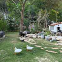 Oria House Khaoyai, เขาใหญ่