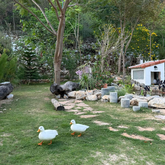 Oria House Khaoyai, เขาใหญ่