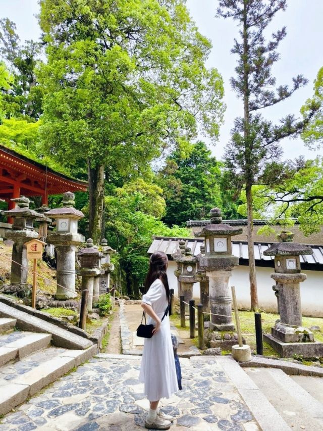 🇯🇵 NARA day trip, and yes, NARA 🦌 bow! 