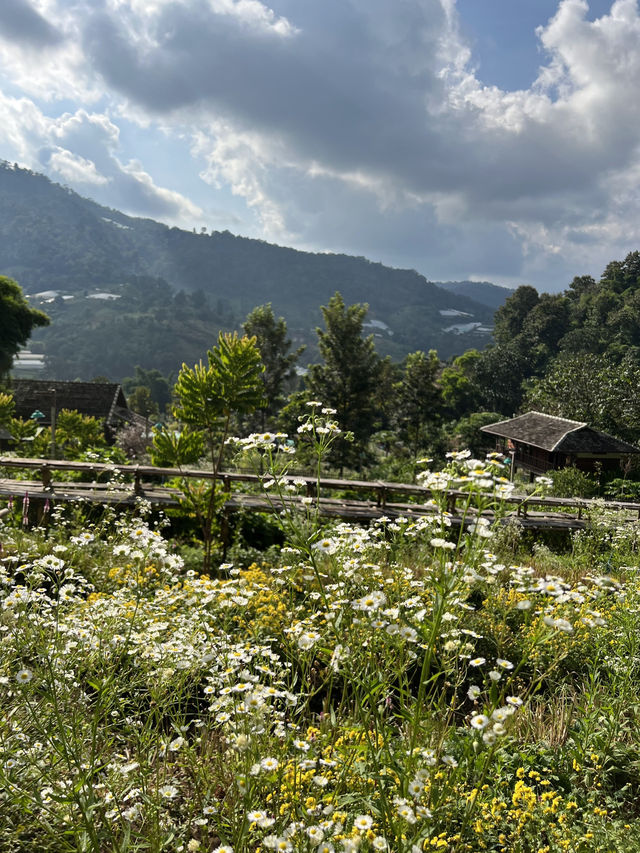 Mori Natural Farm (โมริ เนเชอรัลฟาร์ม)