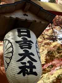 滋賀縣賞楓葉小眾地方