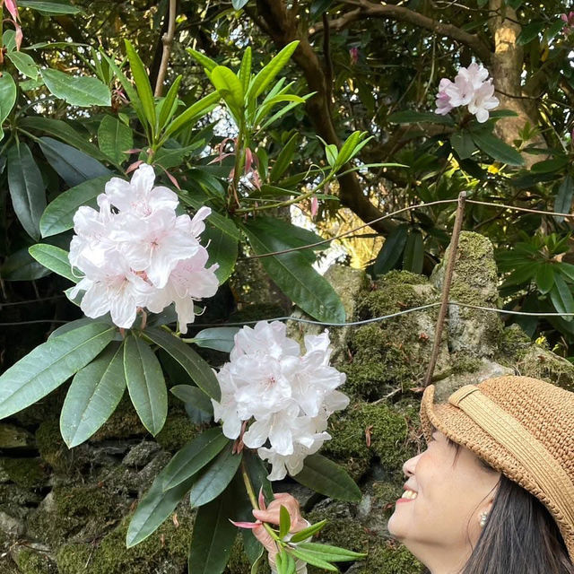 走走觀音洞步道看蝙蝠洞；森鄰水岸景觀咖啡廳覓美食