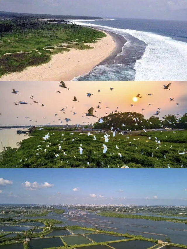 🌊🐬 Qinzhou: China’s Hidden Gem You Need to Visit! 🍜🏖️