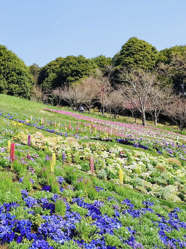 Spring Outing to Satoyama Garden – A Floral Paradise