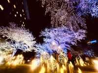 都会の隠れ桜スポット！品川プリンスホテル「桜タワー」で春気分満開