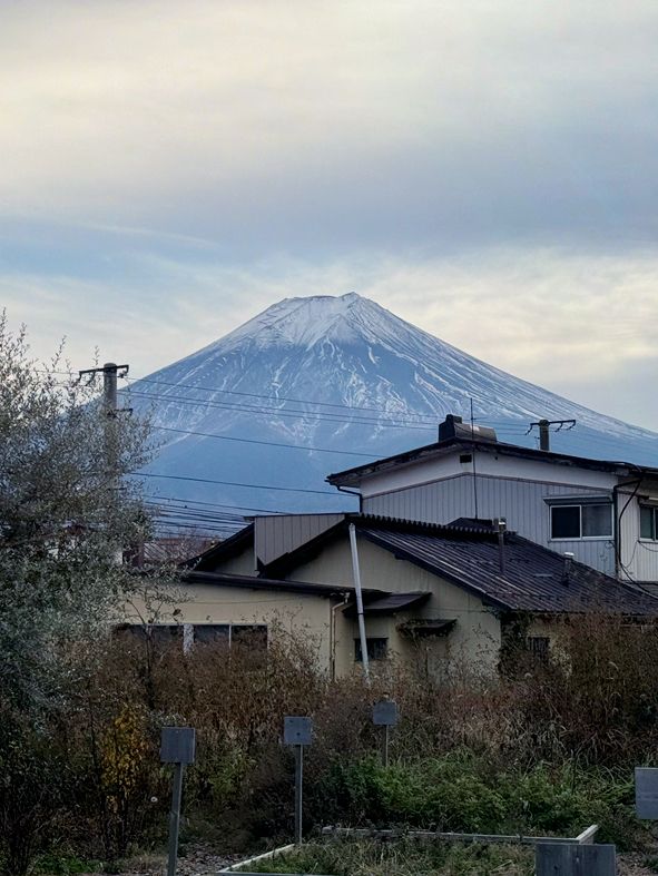 東京｜一日遊行程 ｜下吉田車站🏞️⛩️
