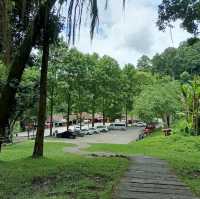ตะลุยเที่ยวน้ำตกสวยที่เชียงใหม่ 🍃
