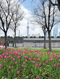 🌷 แจกมุมถ่ายรูปสวนทิวลิป เซี่ยงไฮ้