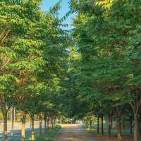 富陽自然生態公園·綠意世外桃源