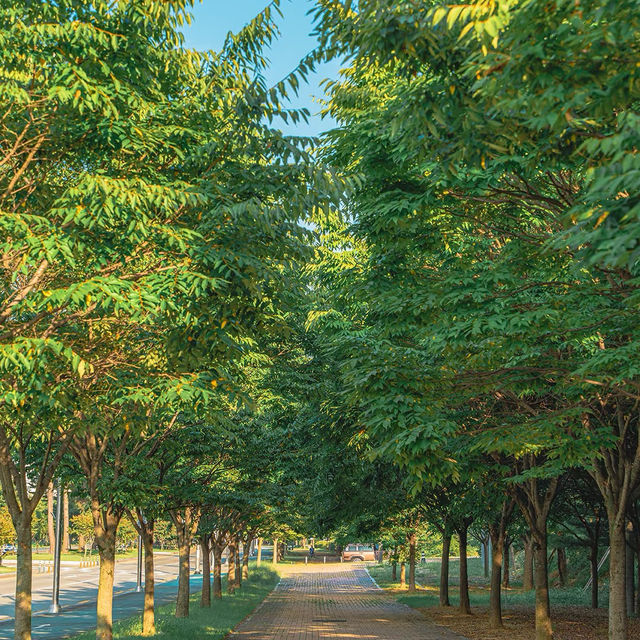 富陽自然生態公園·綠意世外桃源