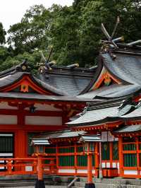 熊野速玉大社でパワーチャージ⛩️自然と信仰の交差点