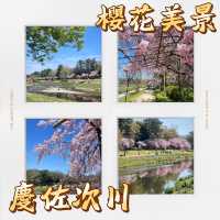 櫻花河川·慶佐次川