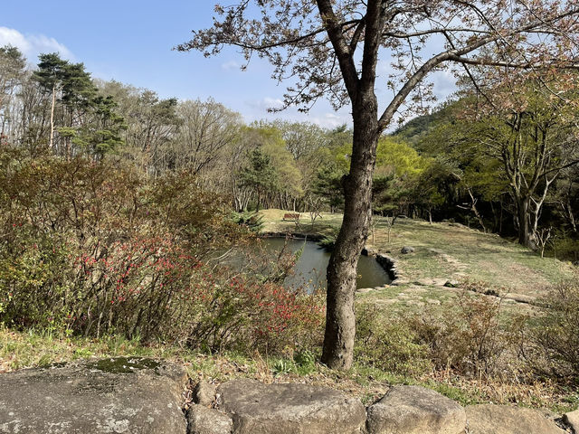 곧 다가오는 겹벚꽃 시즌에 딱 좋은 데이트코스 환성사