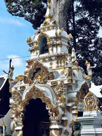 Chaing mai ancient golden city 