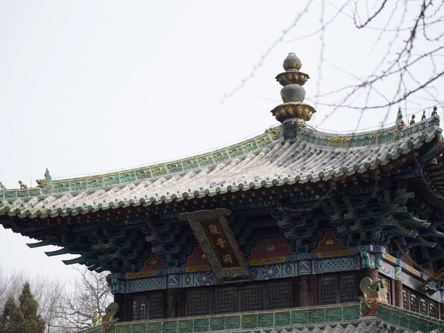 【武林聖地】登封少林寺深度朝聖攻略：解鎖千年禪武文化的奧秘