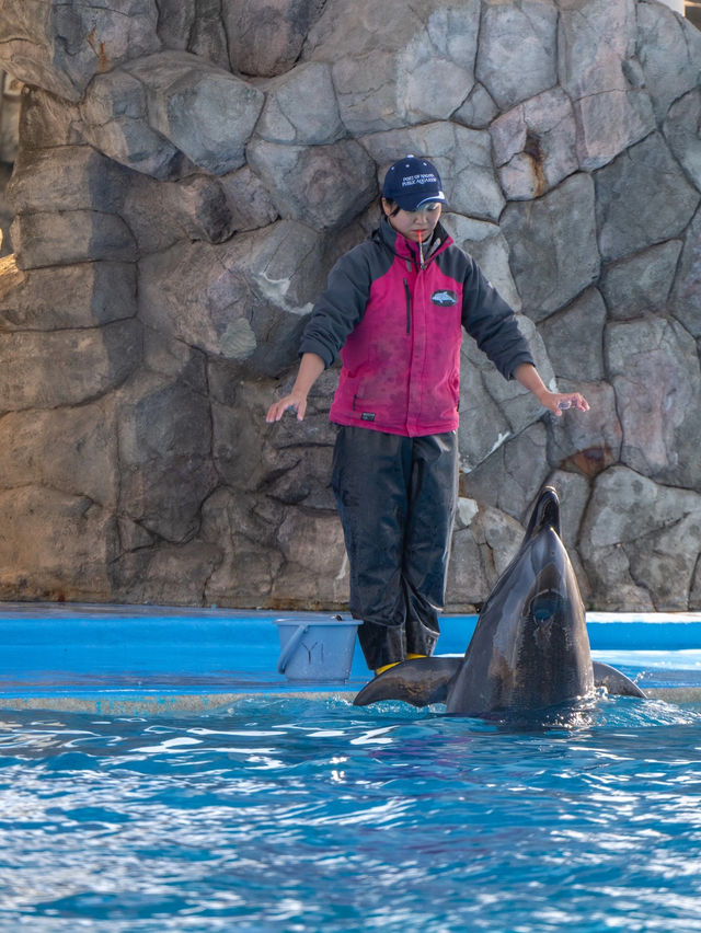 名古屋港水族館