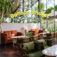 คาเฟ่ภูเก็ตในพงไพร กิจกรรมแน่น !!!