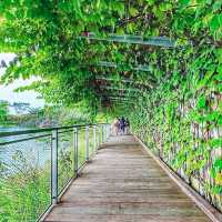 Into the Wild: A Stroll Through Rainforest Wild Asia 🇸🇬