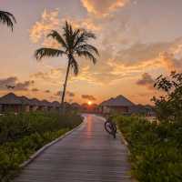 Barceló Whale Lagoon Maldives 