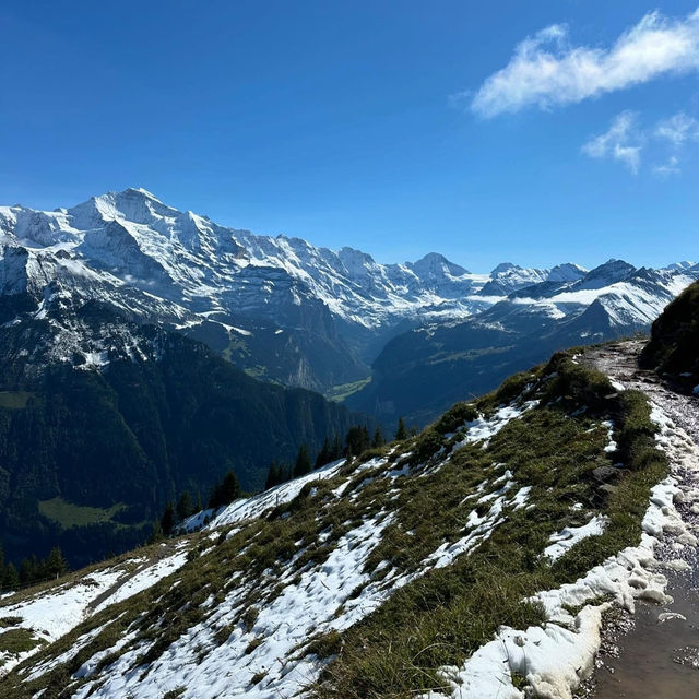 Exploring the Herrschaft Area: The Historical Heart of Grindelwald, Switzerland