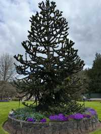 Butchart Gardens
