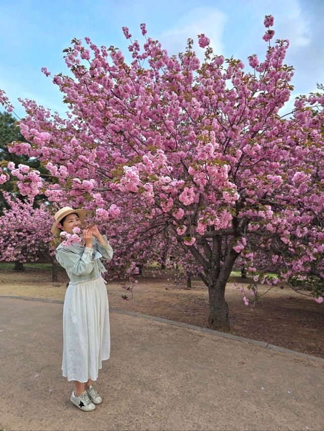 강력추천하는 4월의 경주여행코스🌸