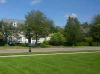 Elmwood Village: Buffalo’s Trendiest Neighborhood